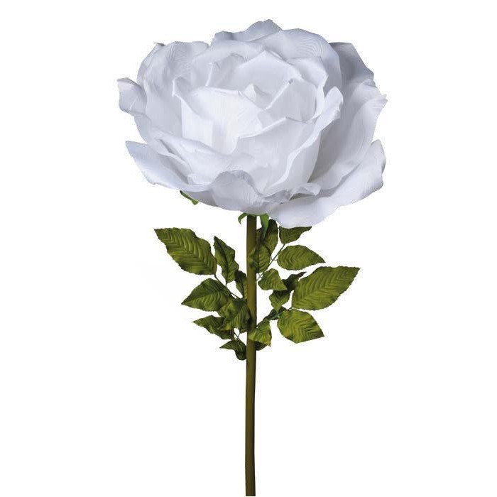 RAMO ROSA CM170 CREMA